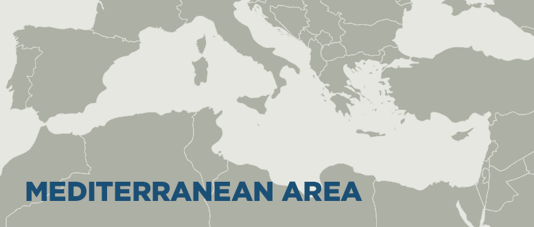 Mediterranean area